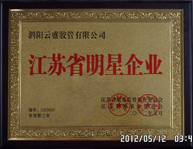 蘇州仁成包裝機械有限公司是專業生產紙箱包裝機械的公司